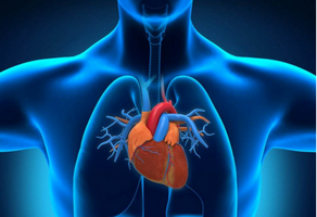 房顫是引發(fā)心律失常的主要原因