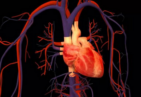 心臟康復(fù)的五個(gè)方面