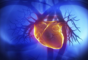 不同年齡心臟瓣膜病有什么特點(diǎn)