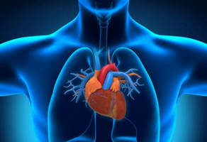 二尖瓣返流為什么要做心臟超聲