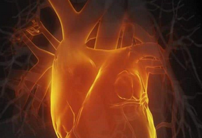 一歲孩子心臟病癥狀有哪些癥狀