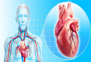 二尖瓣關(guān)閉不全手術(shù)注意事項(xiàng)