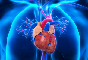 二尖瓣狹窄的手術(shù)適應(yīng)癥是什么