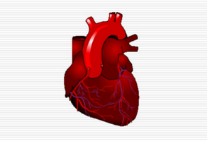 心包炎的手術(shù)護(hù)理