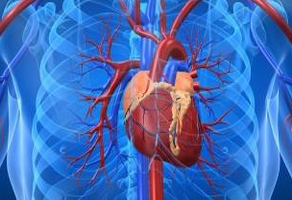 心肌缺血的要點(diǎn)護(hù)理