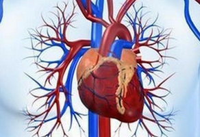 心肌缺血是什么原因造成的？