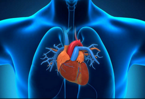 年輕人心臟病會(huì)猝死嗎