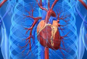 心肌缺血怎么預(yù)防