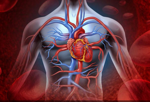 導(dǎo)致心臟病的因素有哪些？