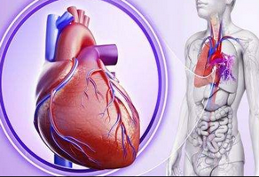 患有風(fēng)濕性心臟病的孕婦應(yīng)注意哪些問題