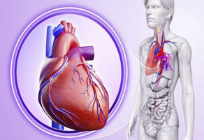 心臟供血不足怎么補(bǔ)身體