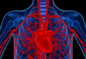 心臟疼是怎么回事