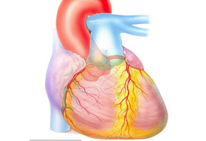 什么是心率失常