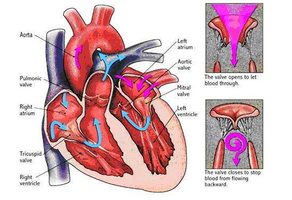 維持期心臟康復(fù)