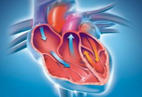 心臟搭橋術(shù)后合理用藥小貼士