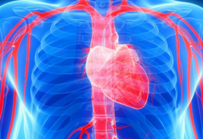 心臟病的種類有哪些？