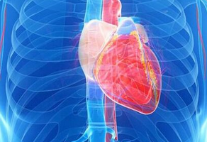 導致先心病的六大因素