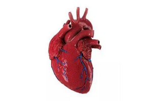 二尖瓣關閉不全原因有哪些