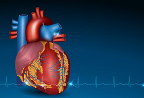 三尖瓣狹窄的癥狀體征有哪些