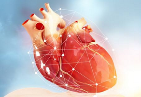 心臟病吃什么好