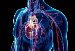 心臟早搏如何治療？