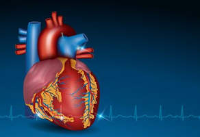 主動(dòng)脈瓣關(guān)閉不全如何預(yù)防