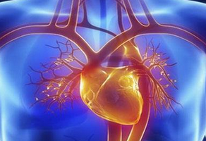 主動(dòng)脈瓣狹窄的飲食禁忌