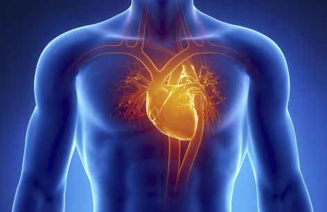 先天性心臟病的原因