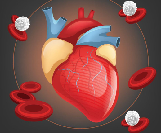 先天性心臟病能活多久呢？