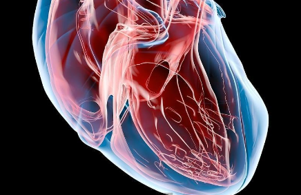 心臟病的癥狀有哪些？