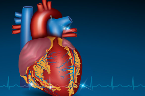 老年人患上心臟病怎么治療