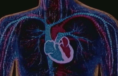 心臟病治療方法有哪些？