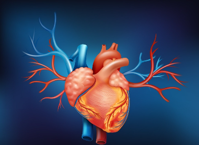 心臟病的癥狀嚴(yán)重嗎