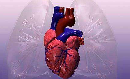 冠心病支架手術(shù)有哪些治療方法？冠心病支架手術(shù)有哪些分類呢？