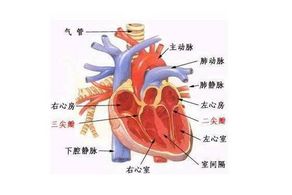 吸煙易引發(fā)冠心病 合理運(yùn)動能有效預(yù)防