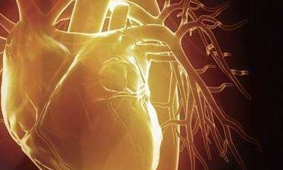 心臟移植的護(hù)理內(nèi)容有哪些