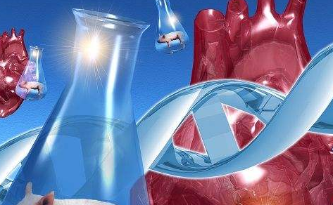 心臟移植術(shù)前護(hù)理需要準(zhǔn)備什么