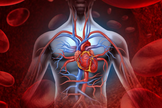 心臟瓣膜病的幾種癥狀表現(xiàn)