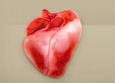 兒童心肌炎有什么要注意的