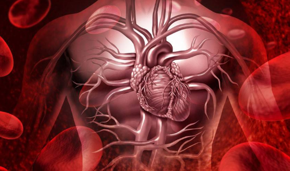 風濕性心臟病都是如何引起的