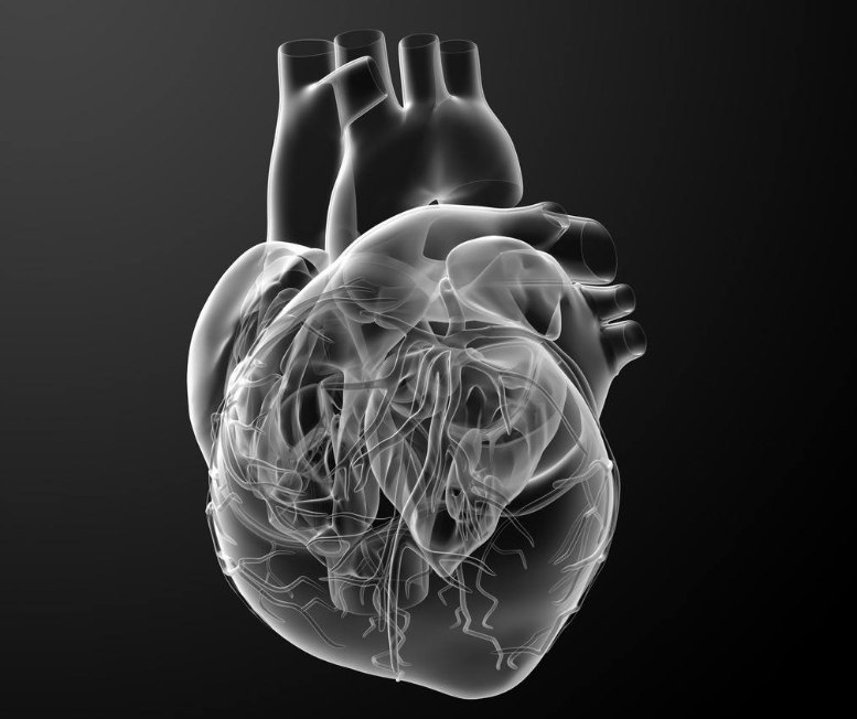 慢性缺血性心臟病的病因有哪些