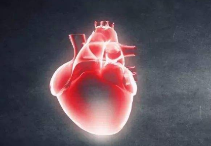 誘發(fā)心律失常的病因