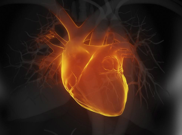 心臟癥狀明顯檢查卻正常是怎么回事？