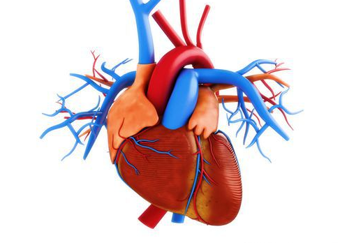 心臟瓣膜病術(shù)后這些反應(yīng)正常嗎？