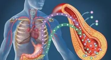 糖尿病性心臟病治療遵循的原則