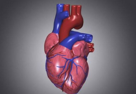 哪些體育鍛煉可以預(yù)防心臟病