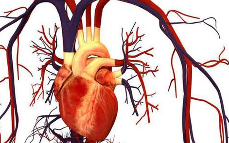 風(fēng)濕性關(guān)節(jié)炎能否導(dǎo)致風(fēng)濕性心臟病以及風(fēng)濕性心臟病的病因