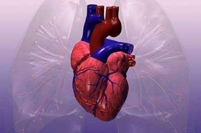 風(fēng)濕性心臟病的治療需要注意防風(fēng)濕熱