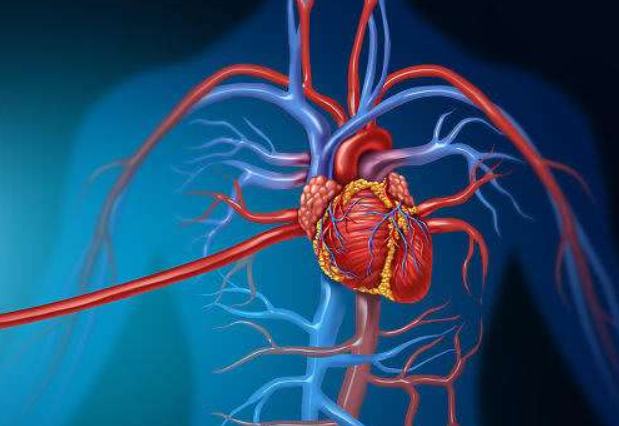  冠心病1期康復(fù)治療方案