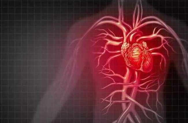 冠心病的護(hù)理與康復(fù)介紹